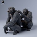 35130244_chimps_groom_3.jpg