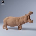 35130245_hippo_2.jpg