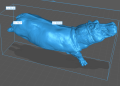 35130246_hippo_swim_4.png