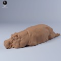 35130248_resize-hippo-sleep-2.jpg