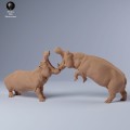 35130249_hippo_fight_1.jpg