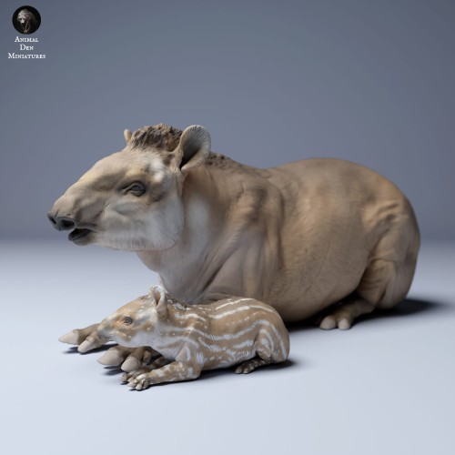 35130256_Brazillian_Tapir_Female_And_Calf_Lying_3.jpg