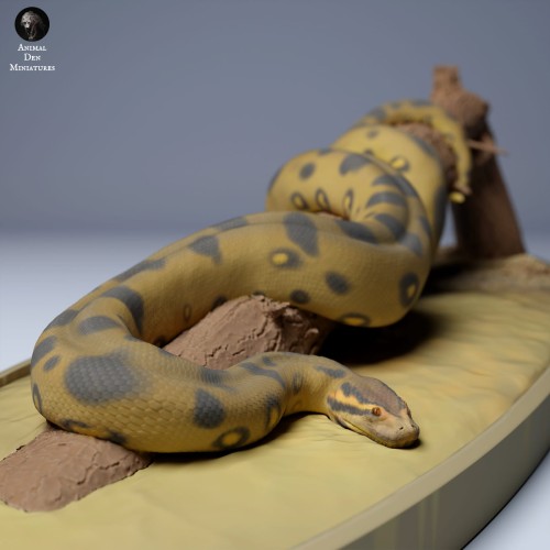 35130357_green_anaconda_3.jpg