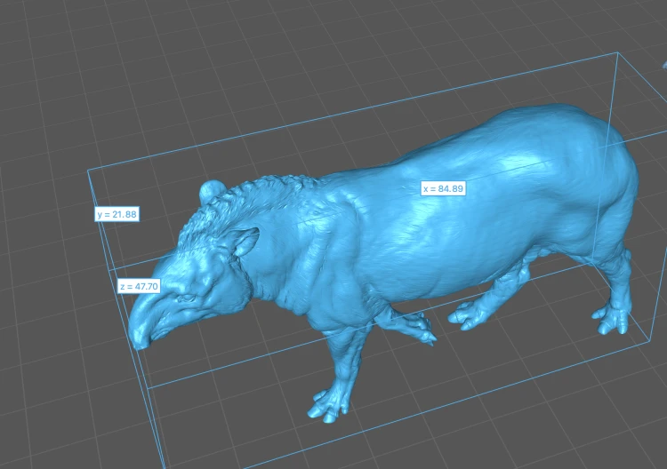 35130254_Brazillian_Tapir_Walk_4.png