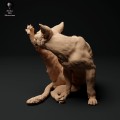 35130109_cat-cleaning-2.jpg