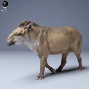 Tapir amerykański - Idący - 2 sztuki - 1:72