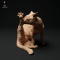35130109_cat-cleaning-1.jpg