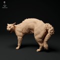 35130110_cat-hissing-1.jpg