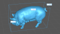 35130313_berkshire-pig-grazing-4.png