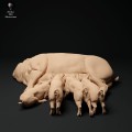 35130314_berkshire-pig-and-piglets-1.jpg