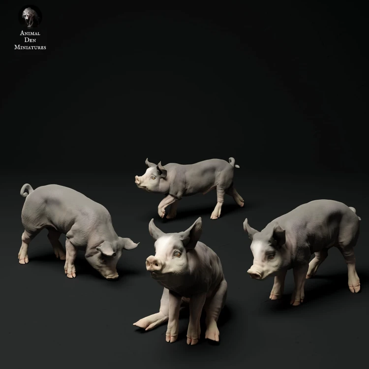 35130315_piglets-3.jpg