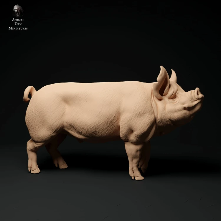 35130310_berkshire-boar-stand-1.jpg