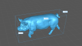 35130311_berkshire-boar-walk_4.png