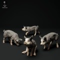 35130315_piglets-3.jpg