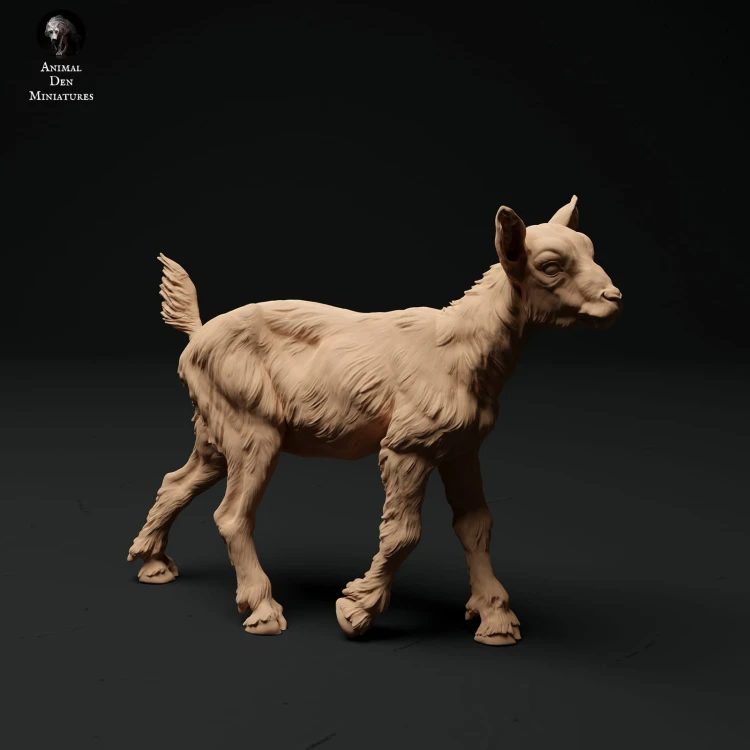 35130323_alpine-goat-kid-walk-2.jpg
