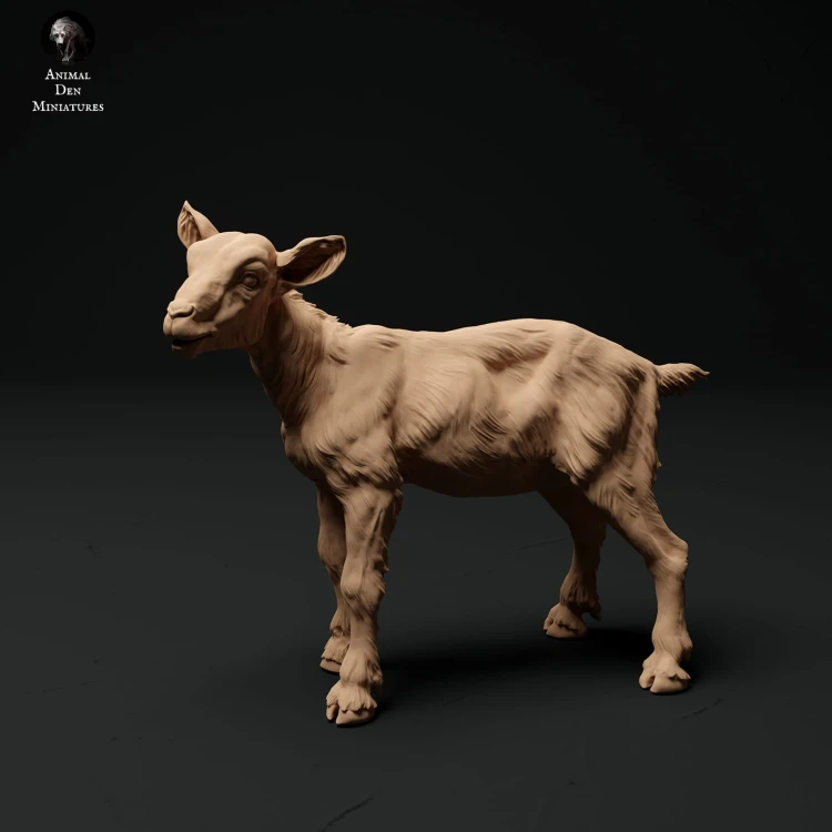 35130324_alpine-goat-kid-stand-1.jpg