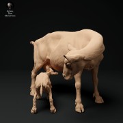 35130325_alpine-goat-with-kid-2.jpg