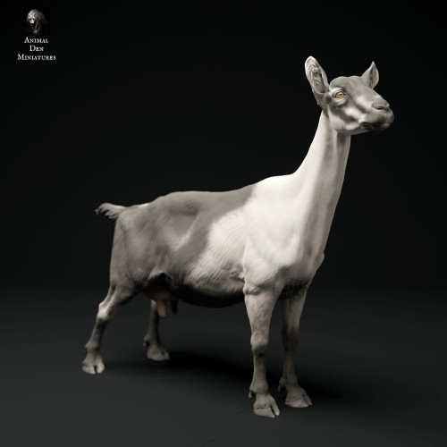 35130321_alpine-goat-stand-3.jpg