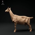 35130321_alpine-goat-stand-1.jpg