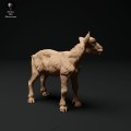 35130324_alpine-goat-kid-stand-2.jpg