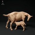 35130325_alpine-goat-with-kid-1.jpg