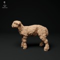 35130326_cornwall-longwool-lamb-2-1.jpg