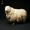 35130328_cornwall-longwool-ram-stand2-3.jpg