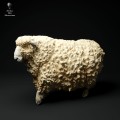 35130332_cornwall-longwool-sheep-walk-3.jpg