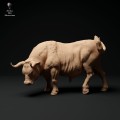 35130336_red-devon-bull-grazing-1.jpg