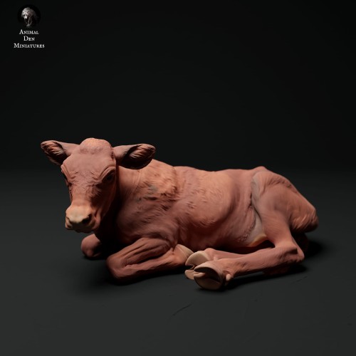 35130338_red-devon-calf-lying-3.jpg