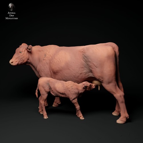 35130339_red-devon-cow-feeding-calf-3.jpg