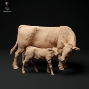 35130342_red-devon-calf-and-cow-1.jpg
