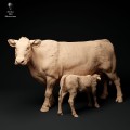 35130339_red-devon-cow-feeding-calf-1.jpg