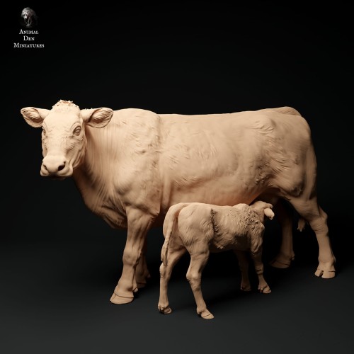 35130339_red-devon-cow-feeding-calf-1.jpg