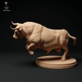 35130335_red-devon-bull-charging-2.jpg