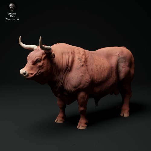 35130337_red-devon-bull-3.jpg