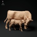 35130342_red-devon-calf-and-cow-1.jpg