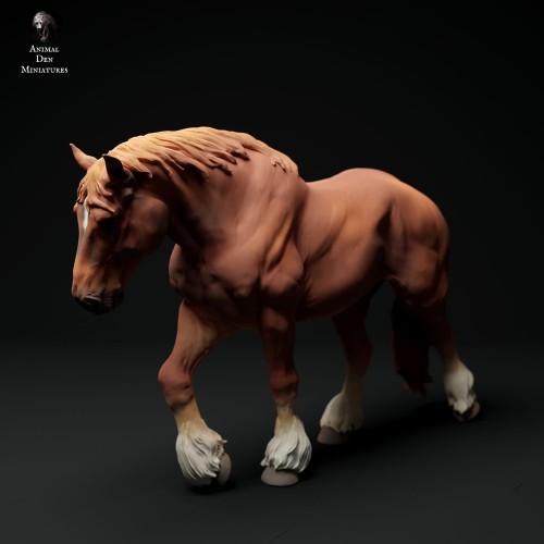 35130348_suffolk-punch-horse-mare-walk-3.jpg