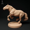 35130350_suffolk-punch-horse-run-1.jpg