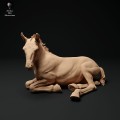 35130343_suffolk-punch-horse-foal-lying-1.jpg