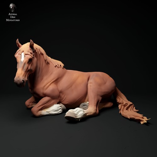35130346_suffolk-punch-horse-mare-lying-3.jpg