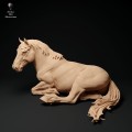 35130346_suffolk-punch-horse-mare-lying-1.jpg