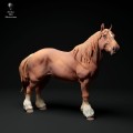 35130347_suffolk-punch-horse-mare-stand-3.jpg