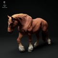 35130348_suffolk-punch-horse-mare-walk-3.jpg