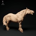35130349_suffolk-punch-horse-neigh-2.jpg