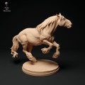 35130350_suffolk-punch-horse-run-2.jpg