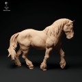 35130351_suffolk-punch-horse-walk-2.jpg