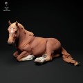 35130346_suffolk-punch-horse-mare-lying-3.jpg