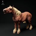 35130349_suffolk-punch-horse-neigh-3.jpg