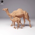 35130261_dromedary-camel-female-with-calf-1.jpg